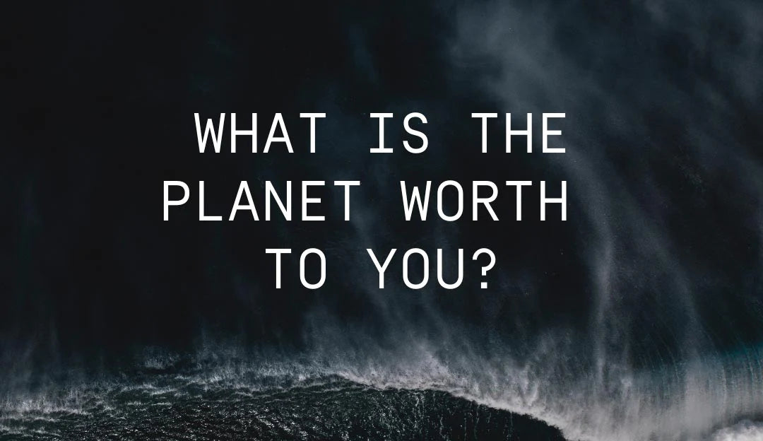 「あなたにとって、この地球はどれほどの価値があるのでしょうか？」