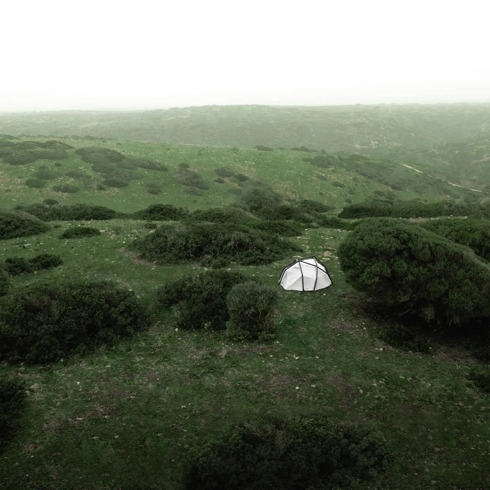 BACKDOOR, CLASSIC – HEIMPLANET / SIDEKICK