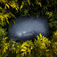 KIRRA 3-SEASON BLACK / CASTLEROCK